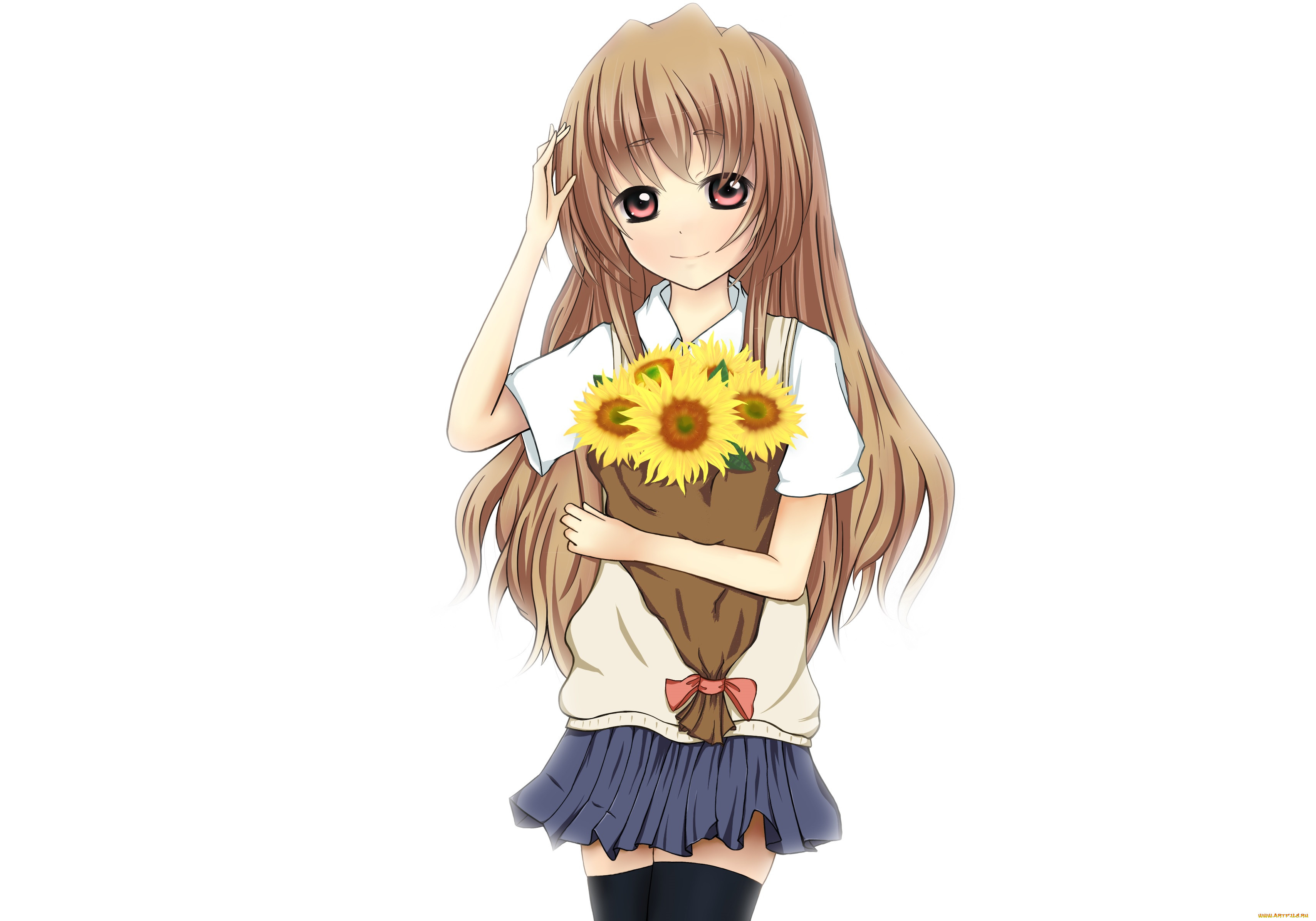 , toradora, , 